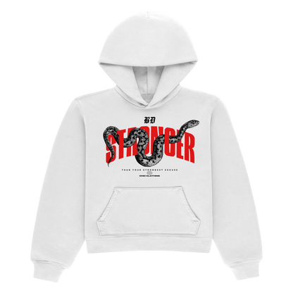 Fierce Oversized Hoodie